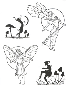 精灵 小仙子图片