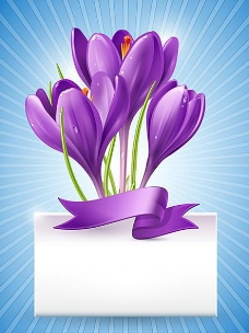 紫色花朵矢量素材