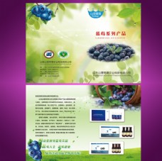 山里阿哥蓝莓宣传单