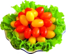 西红柿生菜