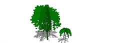 草图大师模型景观树图片