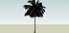 草图大师椰子树图片