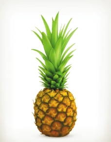 卡通菠萝菠萝设计图片