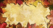 秋天背景高清秋天枫叶边框背景图片
