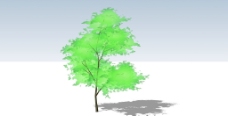 草图大师模型松树图片
