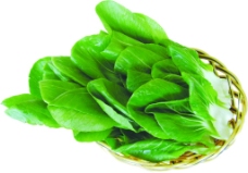 绿色蔬菜青菜图片素材下载