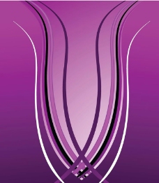 紫色背景设计图片
