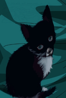 手绘 猫 黑色图片