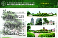 绿化画册图片