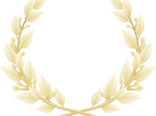 装饰品金色橄榄枝图片