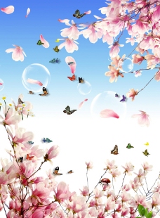 春暖桃树桃花风景图片
