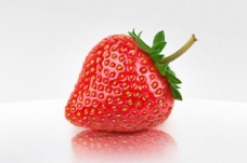 创意画册草莓图片