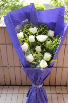白玫瑰花束图片