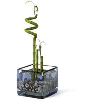 3D室内装饰绿色植物盆栽模型