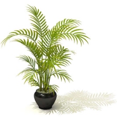 室内常用装修装饰绿色植物3d模型