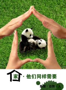 保护熊猫图片