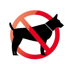 宠物狗宠物禁止