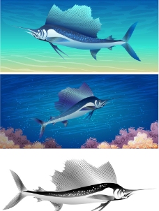 海洋剑鱼图片