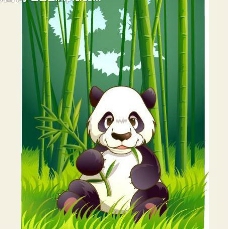 可爱小动物绿色熊猫图片