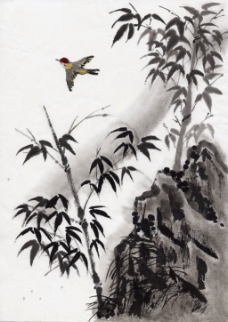 竹子和鸟
