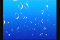 视频模板气泡泡泡上升视频背景素材下载