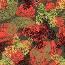 红牡丹红色牡丹花与蝴蝶背景