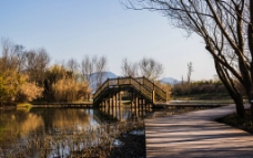 西溪木桥图片