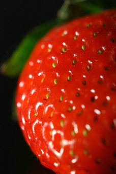 草莓特写草莓上面的种子特写图片