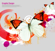 韩国设计元素韩国设计蝴蝶元素创意PSD素材