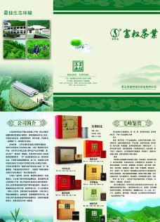 茶叶宣传册 三折页图片
