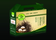 弘扬中华美食文化纯正自然营养健康鸽子蛋