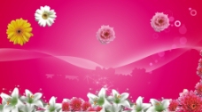 点缀背景粉红色鲜花背景