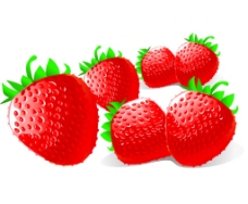 逼真水果矢量图草莓