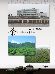 茶叶素材 茶叶公司规模图片