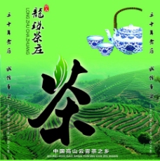 龙珠茶庄图片