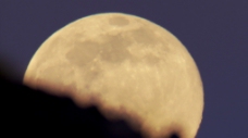 月亮升起实用高清素材