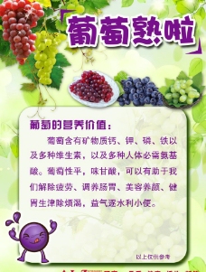 葡萄的营养价值图片
