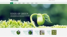绿色种子网站模板图片