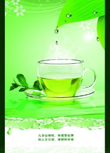 绿色清新茶文化图片