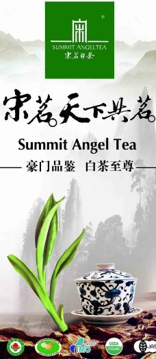 宋茗白茶海报图片