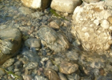 清澈泉水鹅卵石图片