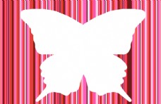 蝴蝶相框图片