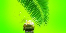 椰子饮料 包装图片