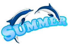夏季海豚跳跃图片
