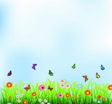 广告春天时尚花卉蝴蝶背景图片