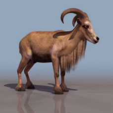 羚羊3D模型
