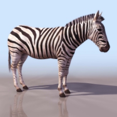 斑马3D模型