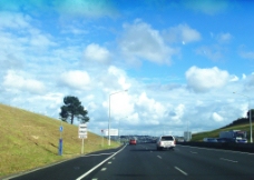 风车群新西兰风景图片