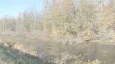 密西西比州爱荷华河回水股票视频