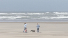 溜狗的人在海滩上的2股的录像